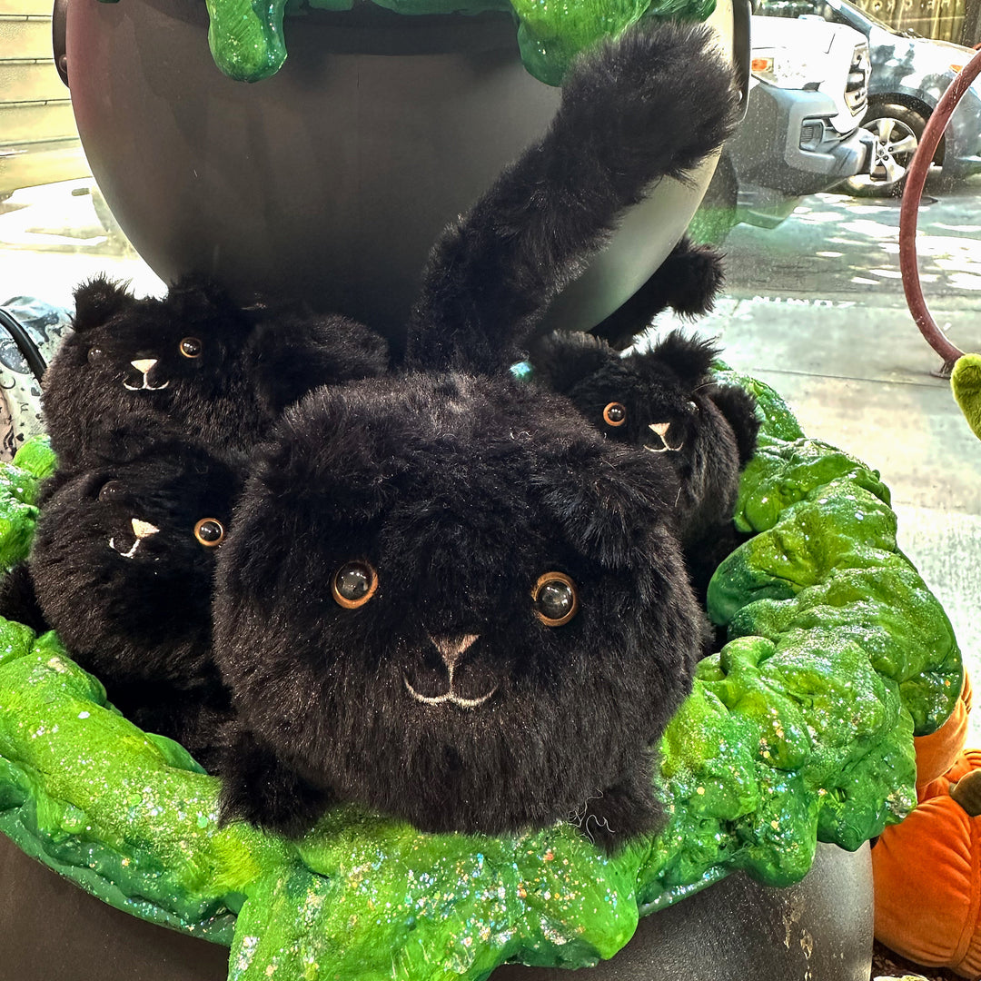 Jellycat Black Kitten Caboodle